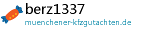 berz1337